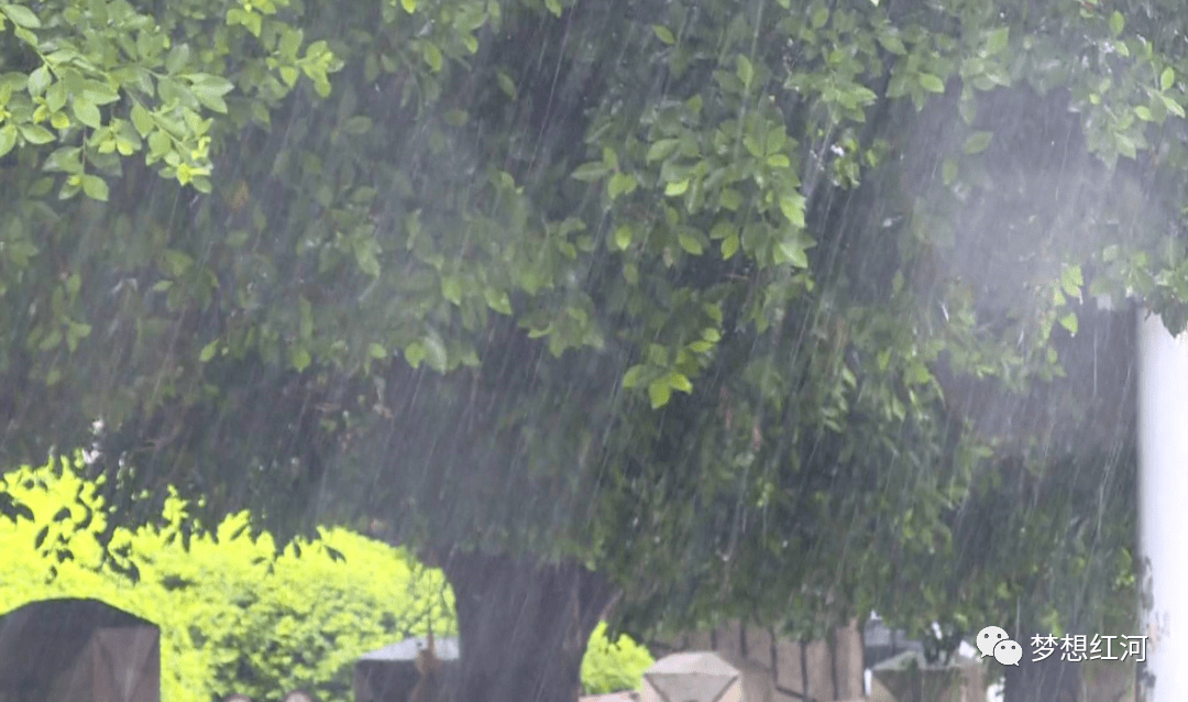红河县多地迎来降雨 单站最大降雨量128.8毫米_河谷_天气_com