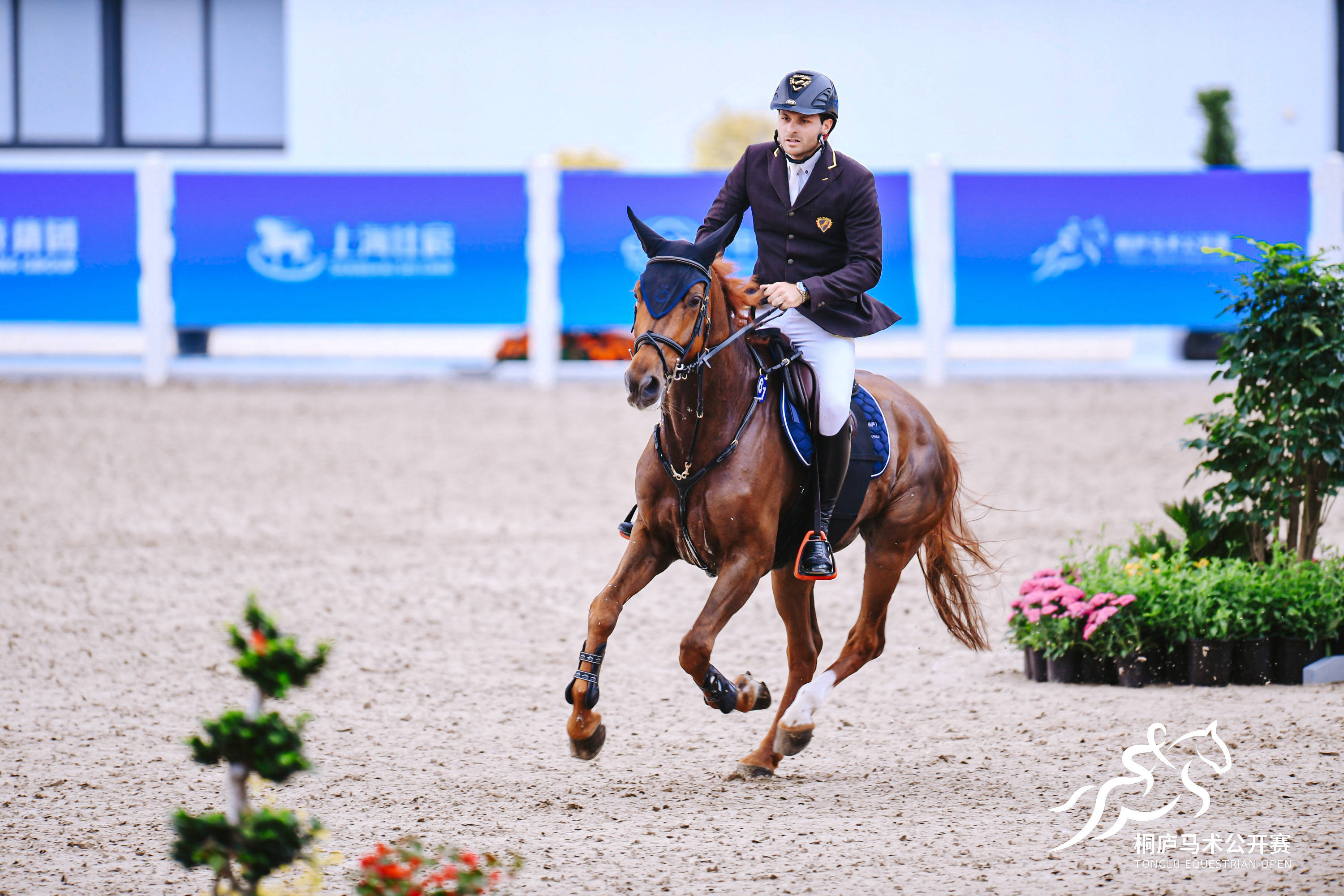 追光|这座新建的亚运马术场馆,太行了!_场地_比赛_马匹