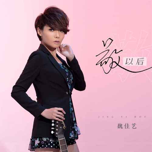 【新歌推荐】魏佳艺 -《敬以后》 dj版_喜怒哀乐_音乐_亚东