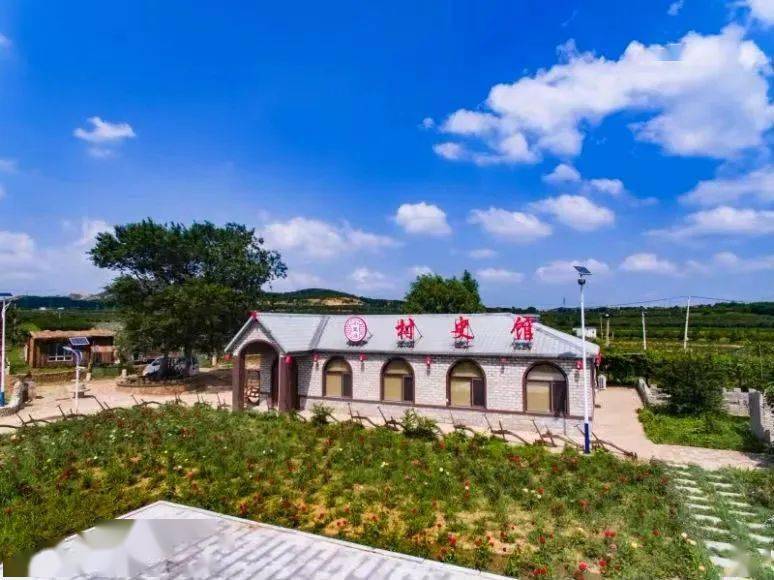 赏芍药花海 享文旅盛宴_乐园_活动_芦屯镇