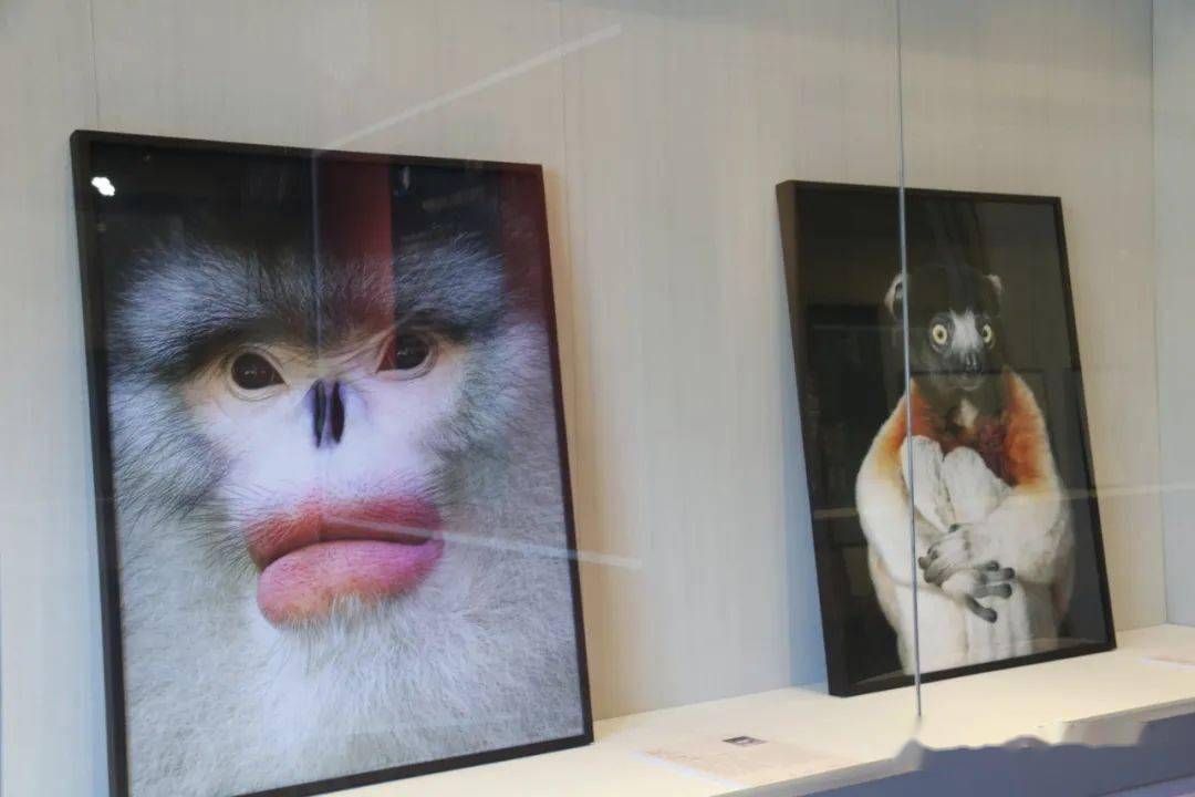 "5·18国际博物馆日",来云南主会场大理开启奇妙之旅~_活动_剑川_技艺