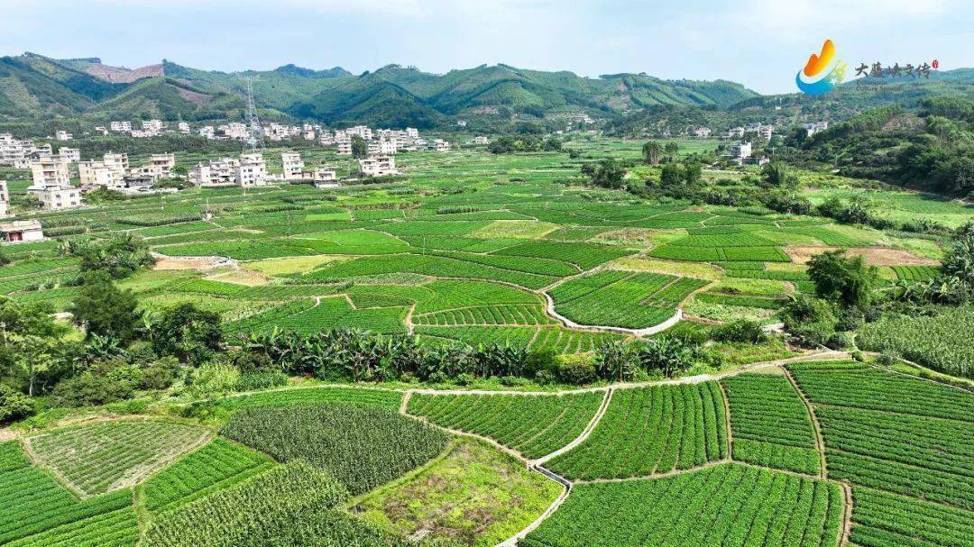 有理村位于广西壮族自治区桂平市油麻镇南部,距离油麻圩3公里.