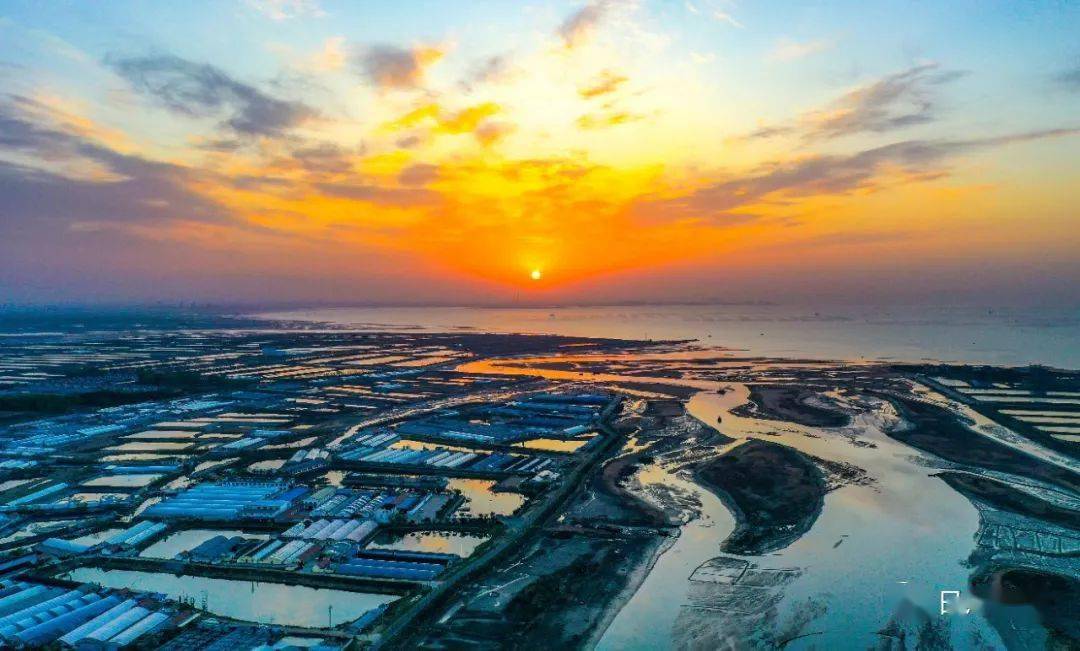 《我和湿地》徐金英——《霞光万道映家园》韩信——《湿地卫士》据悉