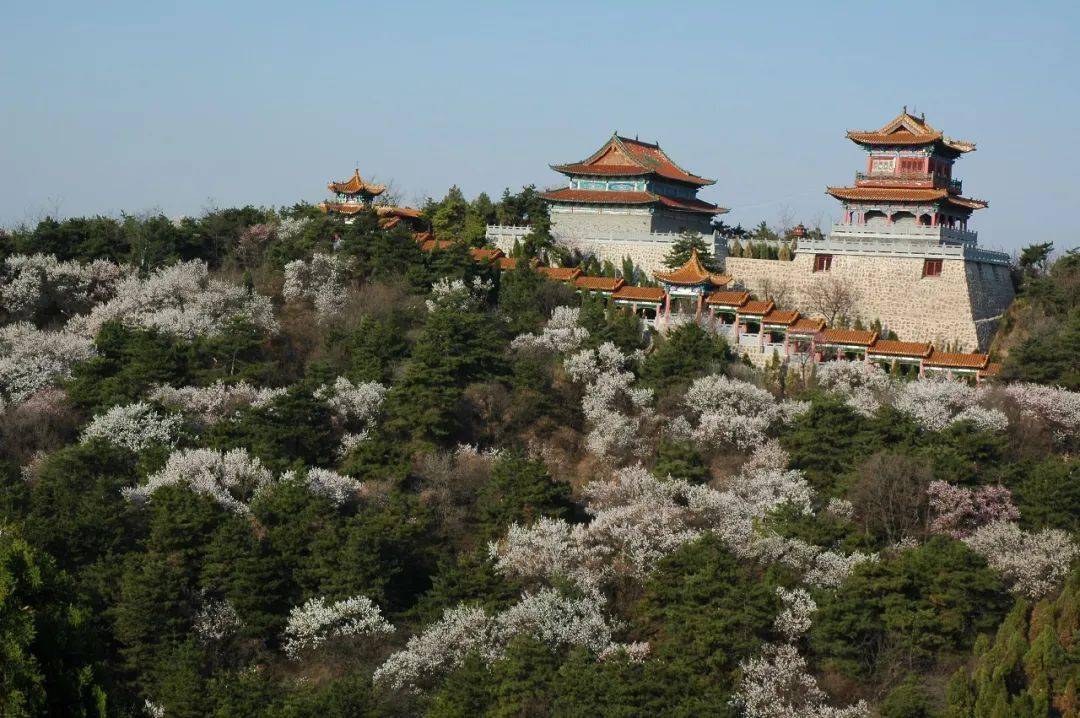 老爷山景区优惠政策:免门票板山风景区优惠政策:免门票游击战体验园