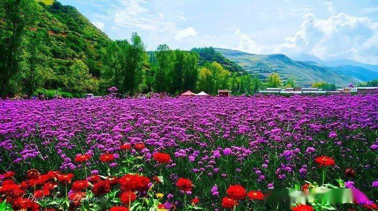 中国旅游日 | "我"在冶力关等你