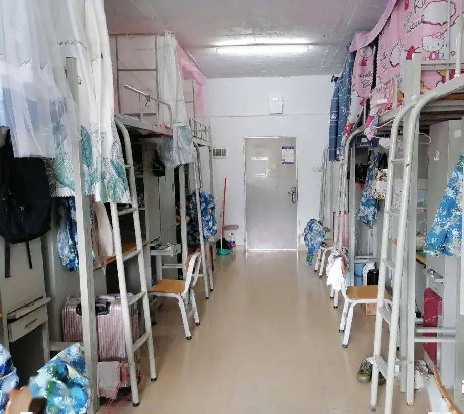 大学介绍|【广东工程职业技术学院】录取分数/学校环境,宿舍介绍!