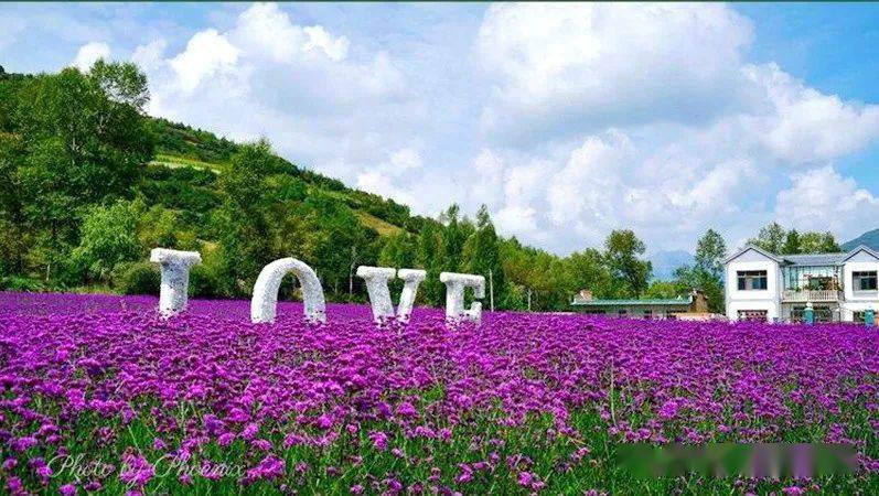 中国旅游日 | "我"在冶力关等你