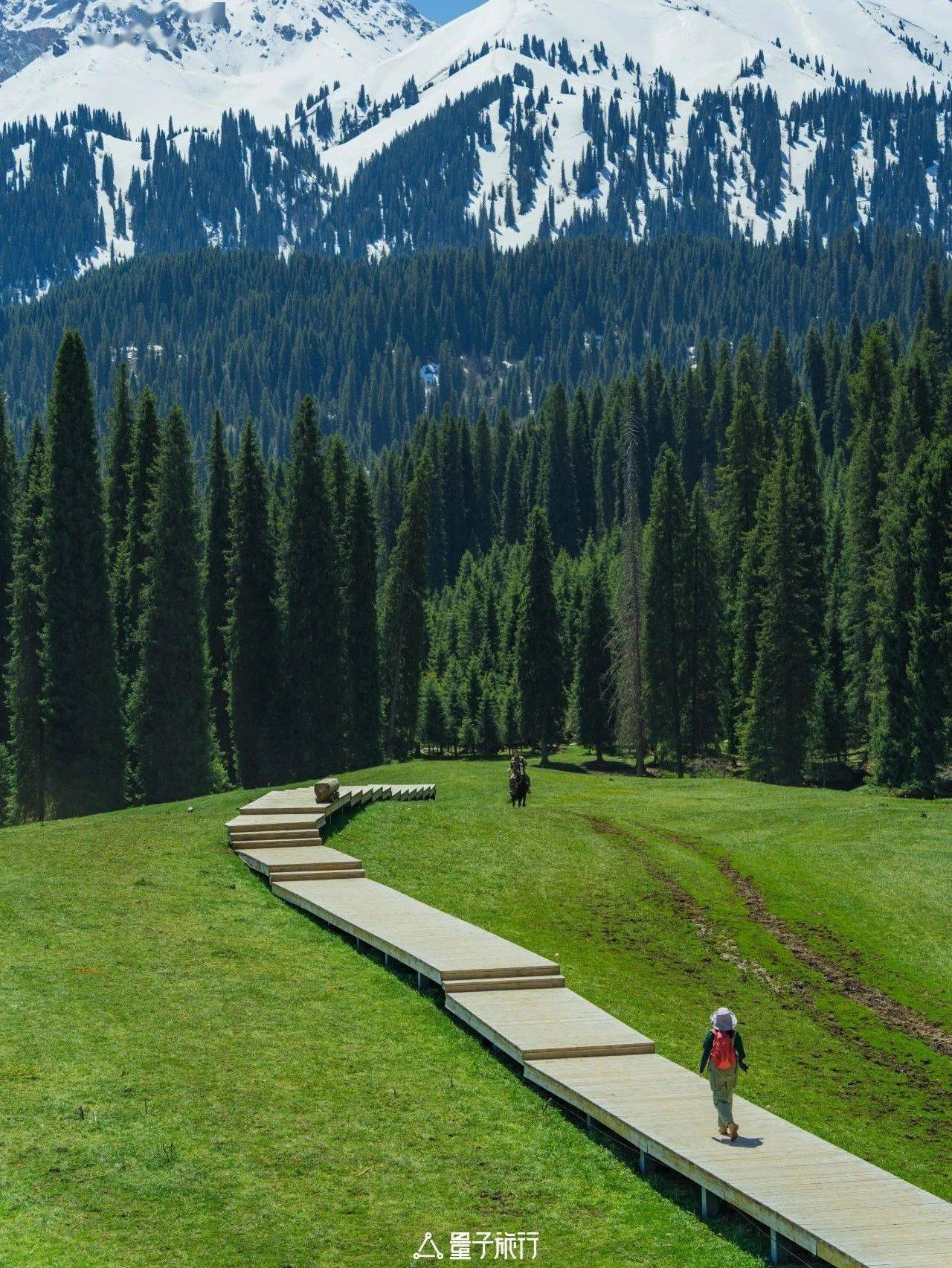 是时候去回应,来自天山的召唤_草原_伊犁_初夏