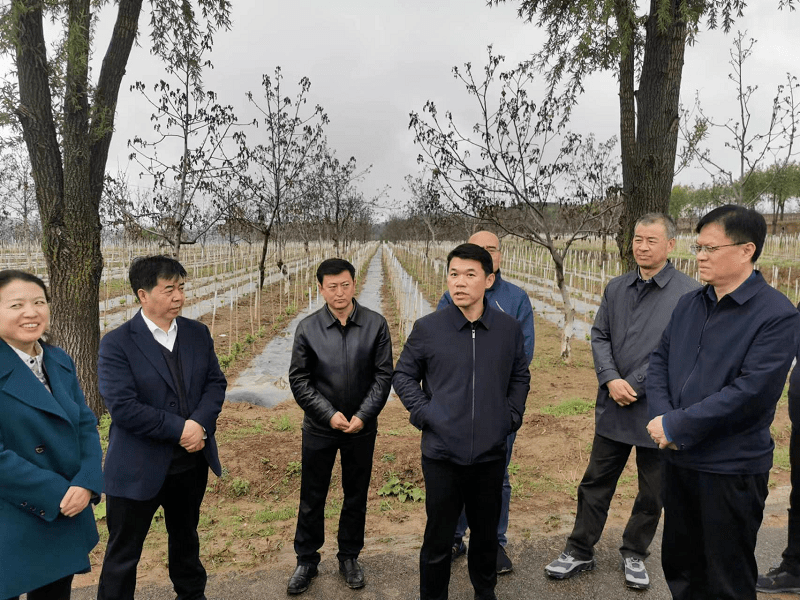 自然资源部李金锋图片