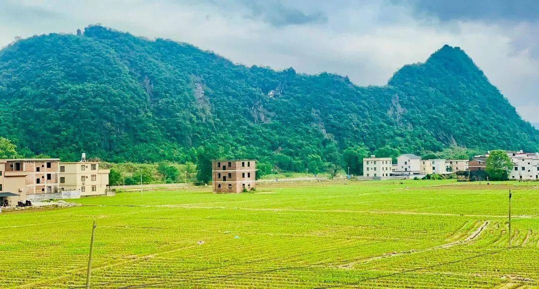 内莞镇11个行政村联合成立公司,帮助村民在家门口就业_发展_工作_收入