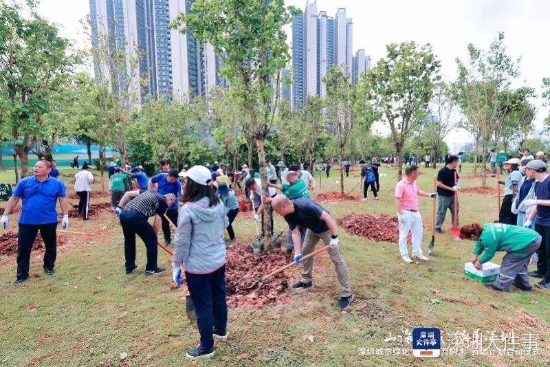 未来五年深圳将增种补植各类树木100万株完美电竞(图2)