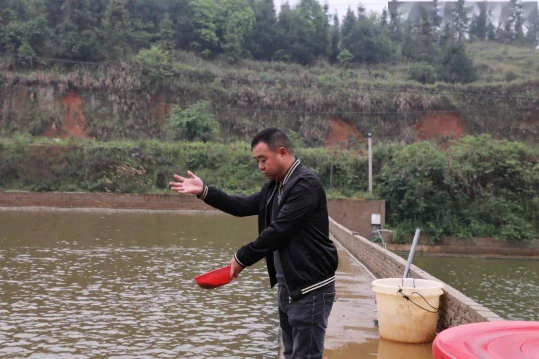 麻音塘魚業養殖