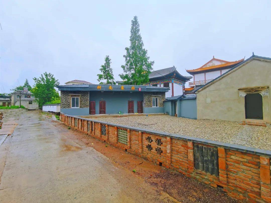 走进建设中的省级美丽乡村:汤沟镇先进村_枞阳_产业_许耀明