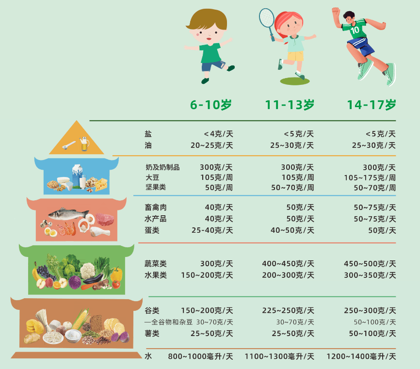 青少年平衡膳食宝塔图片