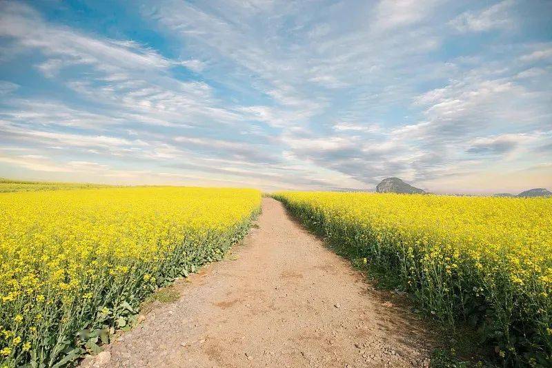 守一份谦卑小满的心,去精进,去成长,才能在人生路上行稳致远.