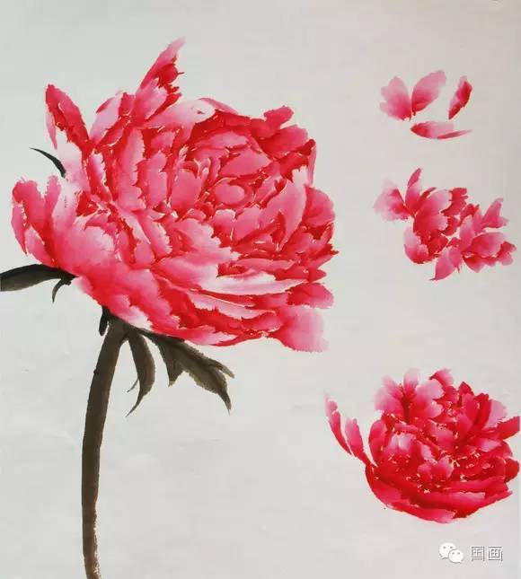 国画基础教程:写意牡丹的画法(附视频教程)_花瓣_变化_笔尖