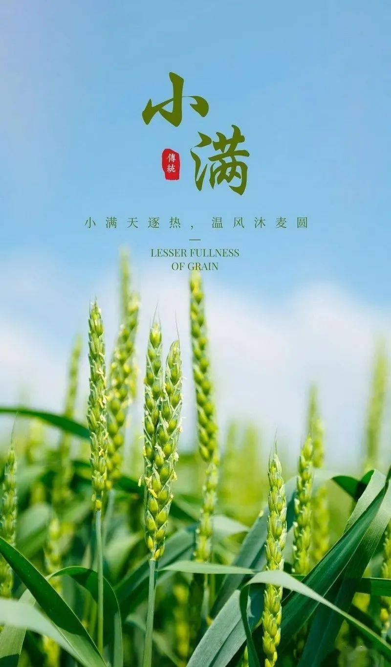 2023年小满节气手机壁纸,唯美的祝福海报!