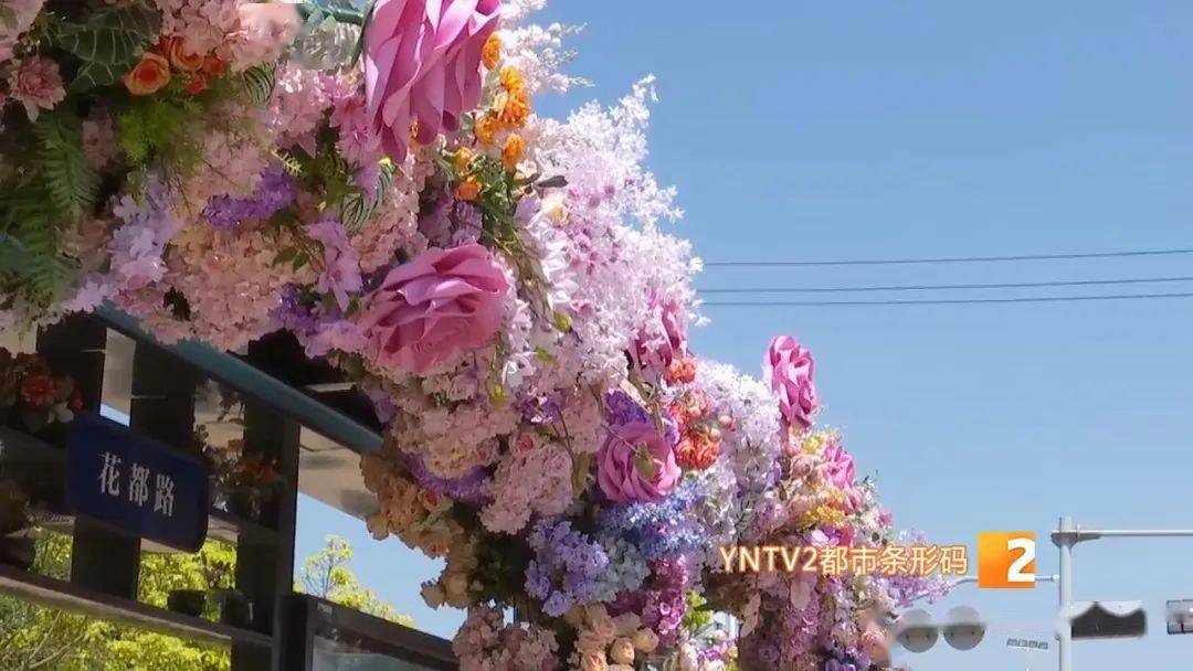 铺满红玫瑰!昆明这个"网红"公交站台火了……你打卡了吗?