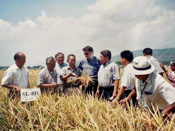 袁隆平(左四)访菲期间,林育庆(左五)陪他来到试验田考察.