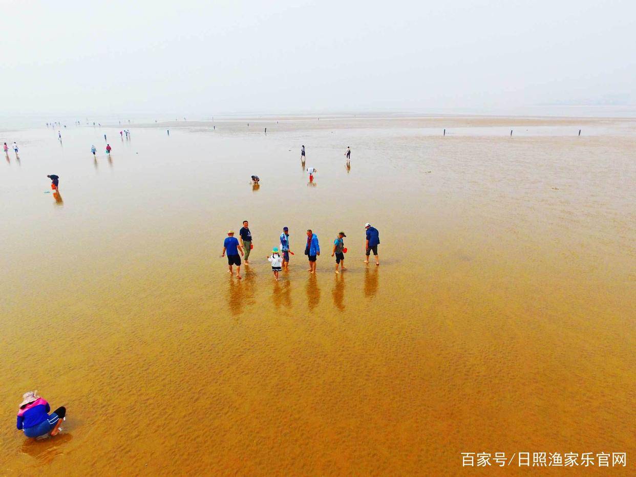 2020山东日照旅游攻略详尽指泛亚电竞南到日照旅行的必备手册！景区篇(图17)