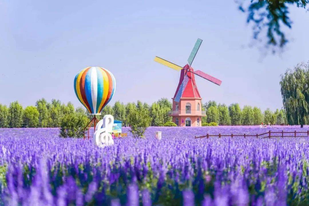 安国中药都药博园景区坐落于安国市西北部瓦子里村,总占地面积800亩