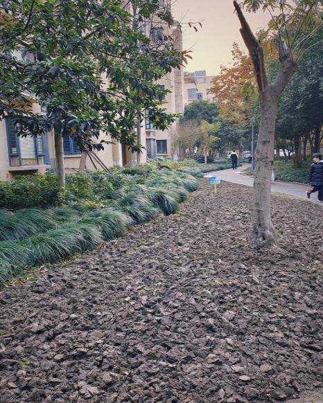 上海春申万科城,上海阳城等小区纷纷响应"绿茵行动,针对园区存在的