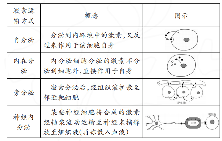 现已知的激素分泌方式既包含经典的长距离(通过血液)运输方式,又包括