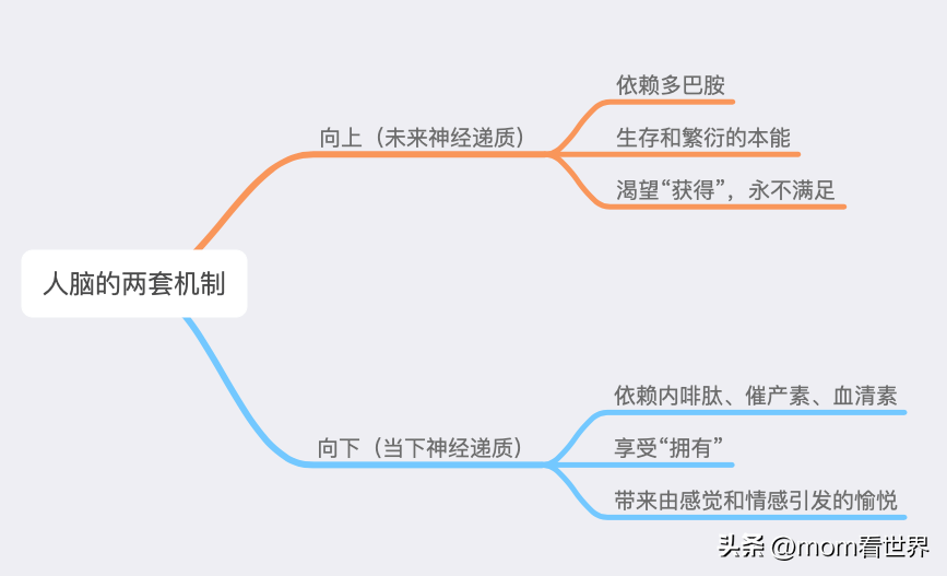 我和小素思维导图图片