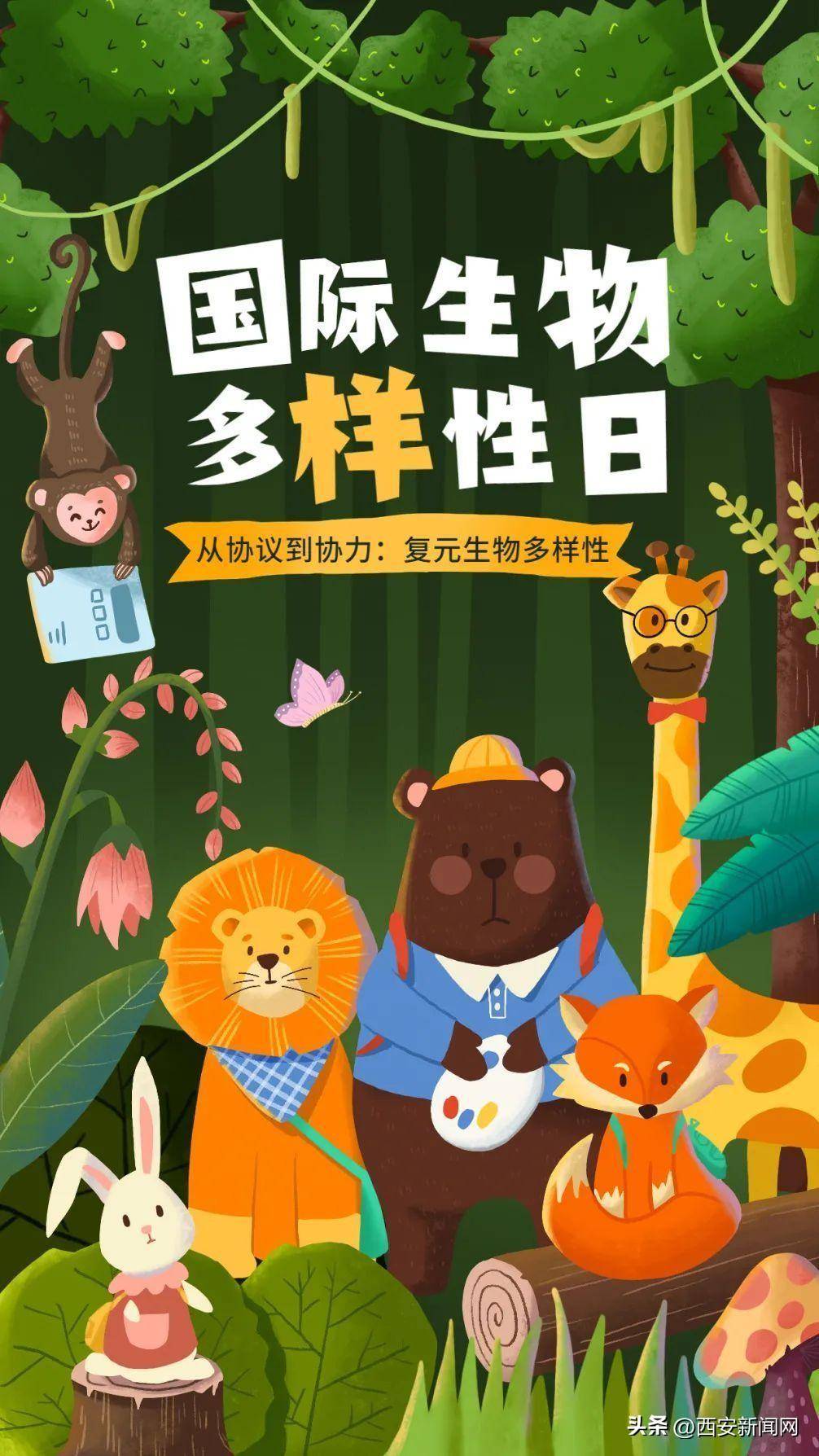 "趣"秦岭,探秘动植物王国_生物_多样性_被称为