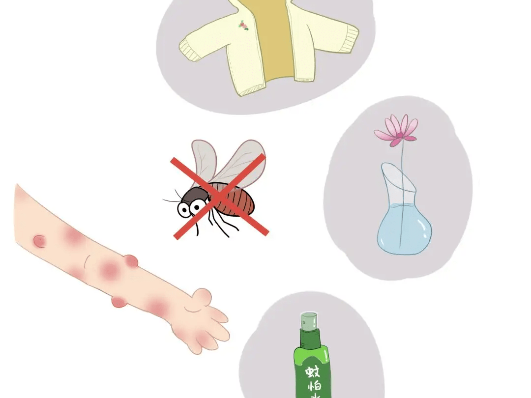 "默默无蚊"——东艺幼儿园夏季幼儿防蚊虫叮咬温馨提示