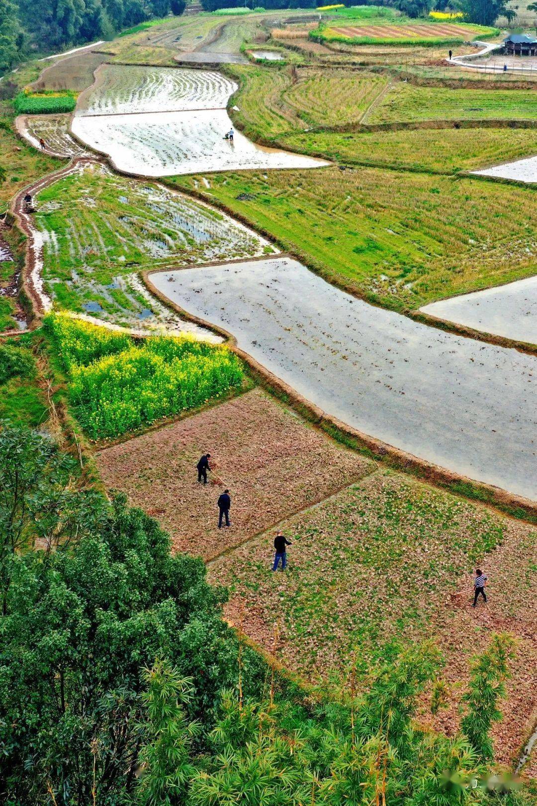 南江县关坝镇地图图片