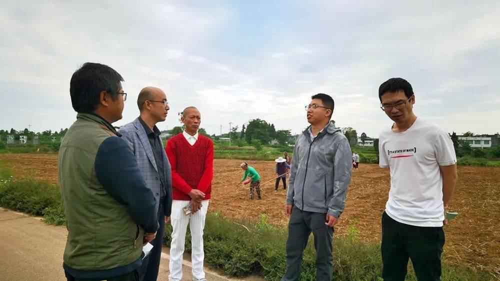 遂宁千余名田长来巡田,来把百姓"饭碗"看一看!_工作_耕地_保护