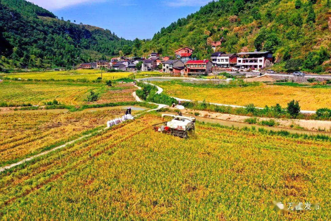 一季度,我区完成万亩丘陵山区高标准农田建设!_关坝镇_机械化_工程