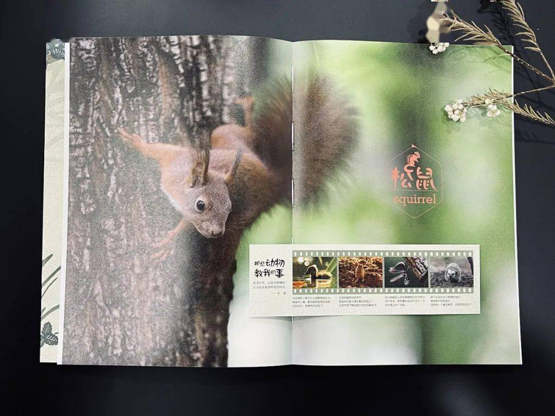 刘华杰,张腾岳,张劲硕,张辰亮等多位大咖联袂推荐!装帧: 空脊锁线,带