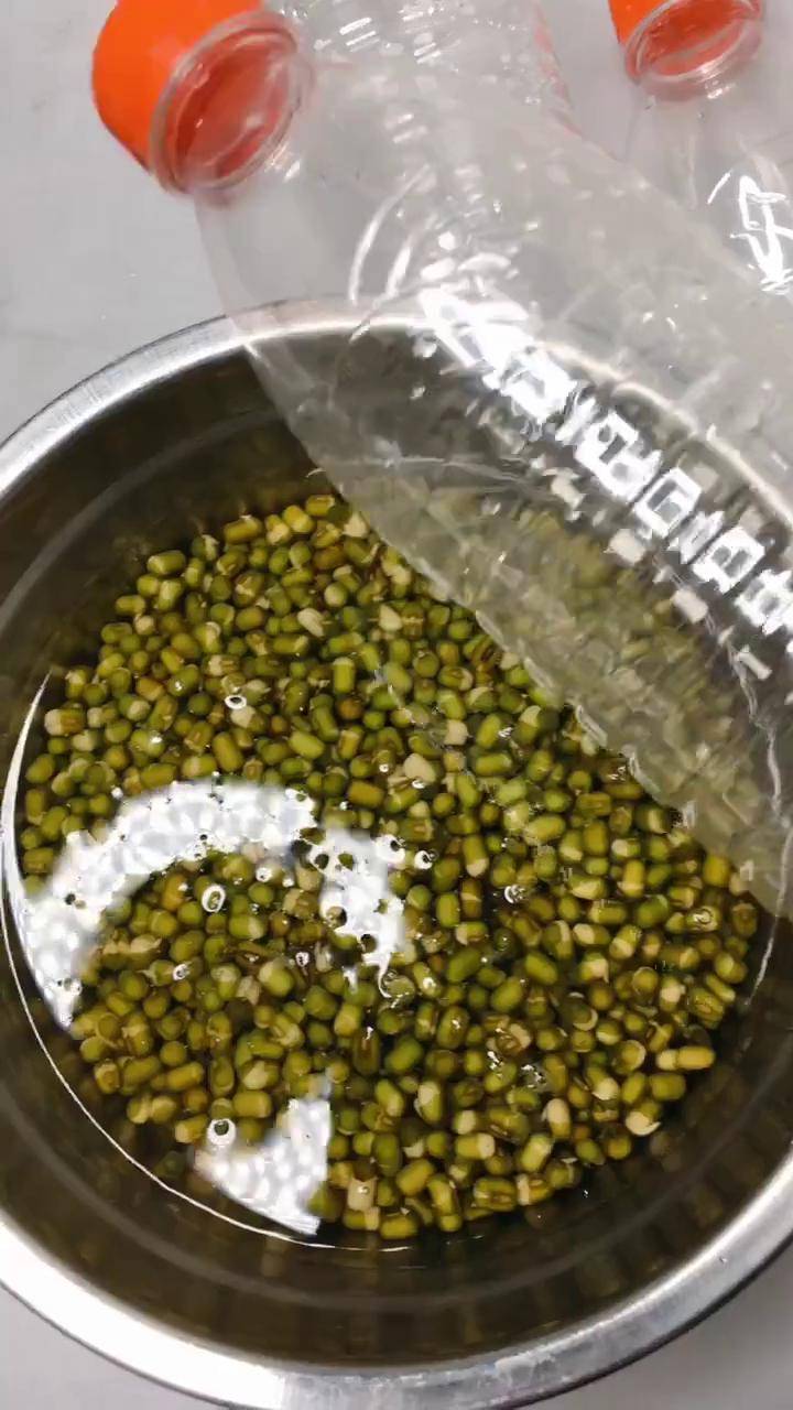 矿泉水瓶生绿豆芽,第一天,健康方便又好吃明天看进展及后续技巧!