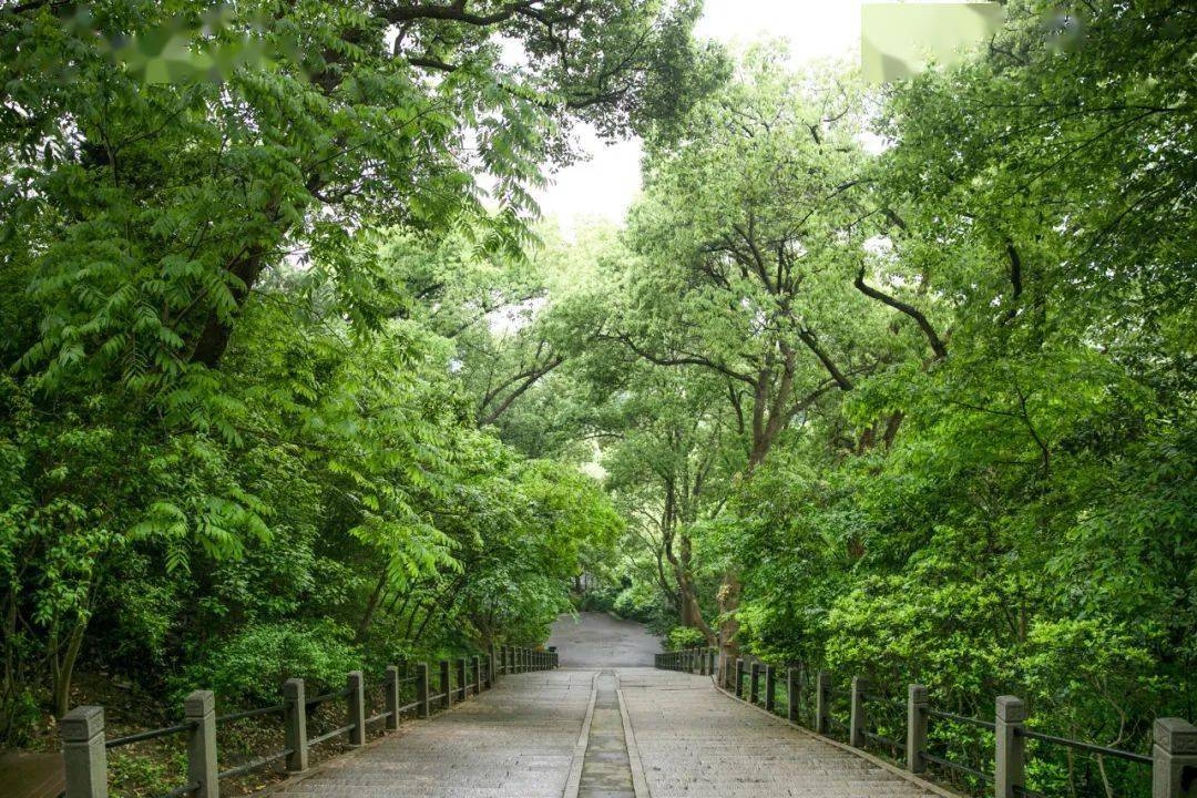 四月你好,首夏清和_夏天_黄梅_初夏