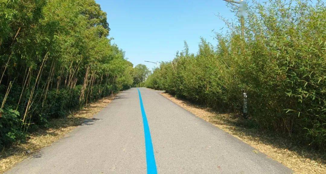 万新文体公园是在司徒镇杏虎村万新农庄的基础上利用现有资源,增添了