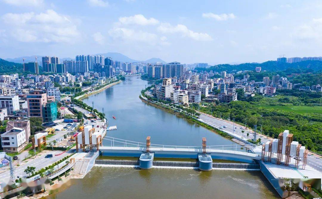 聚焦信宜龙舟赛!7艘龙舟亮相银湖_比赛_进行_锦江