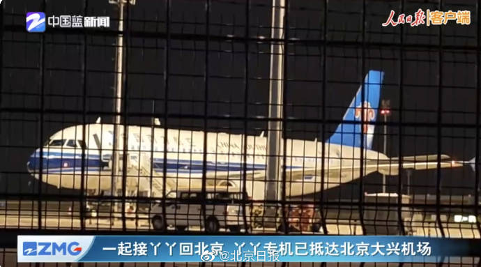 大熊猫“丫丫”已落地北京