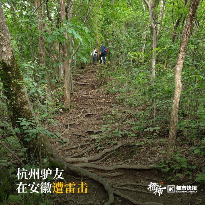 一道强光,接着是一声巨响,人倒下,全身麻木!杭州驴友安徽徒步爬山被雷击,回杭后紧急就医:心肌受损_山顶_急诊_浙江省