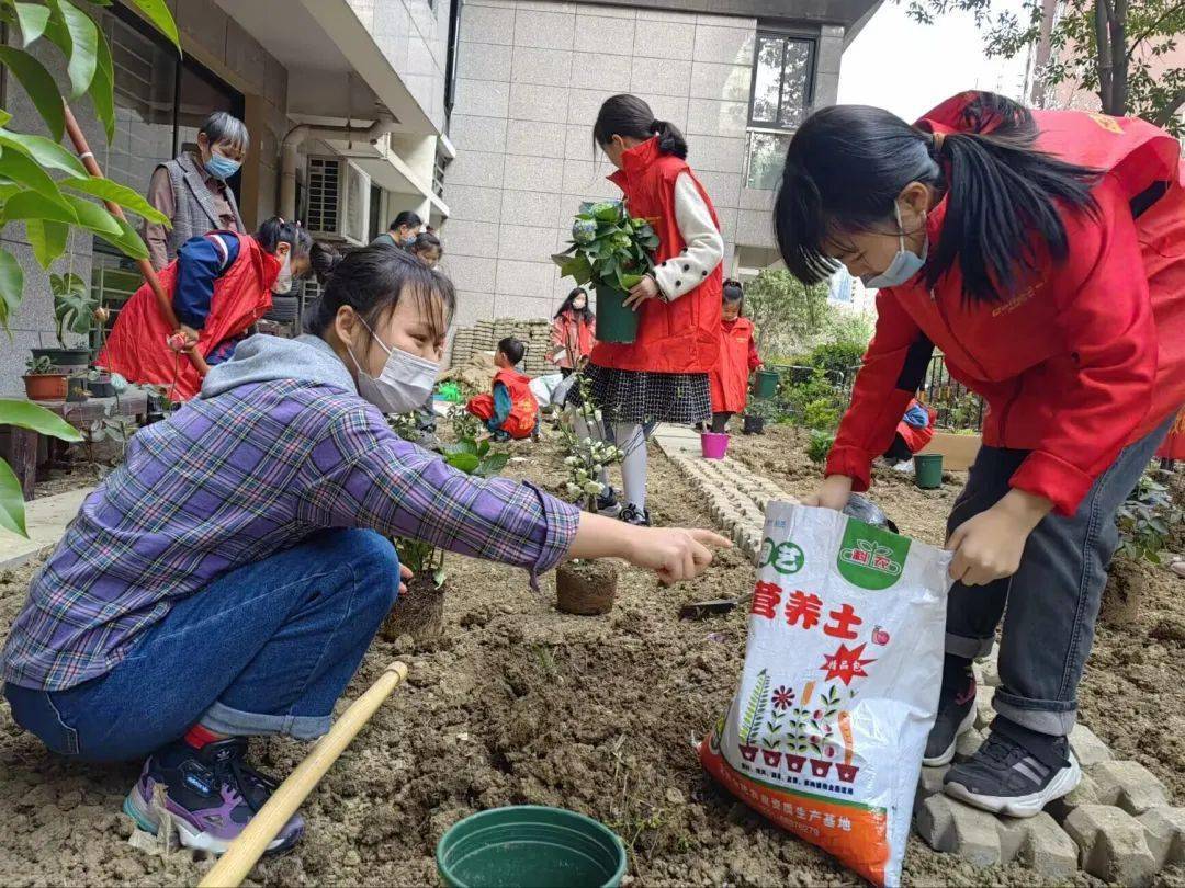 將網格黨總支,居委會,物業公司,業委會,各社會組織團隊,紅色小管家