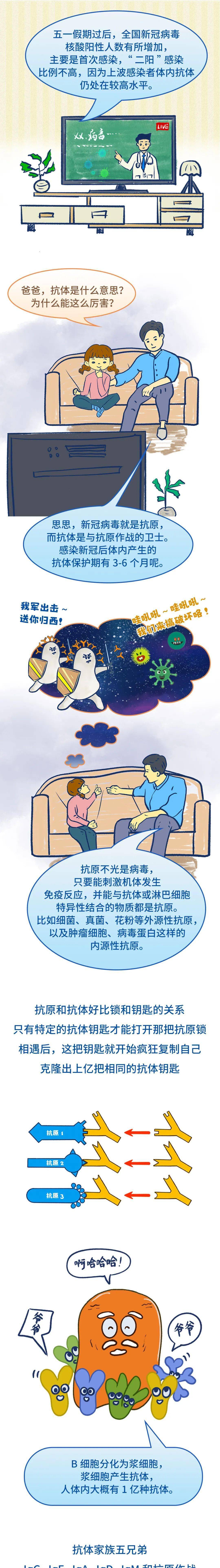 不可"抗"拒 | 抗原抗体的"相爱相杀"故事,远比你想得更精彩_药物_漫画