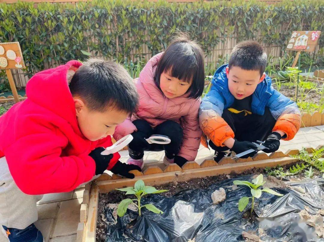 张江科学城教育资源简介(孙桥幼儿园)_发展_浦东新区_游戏