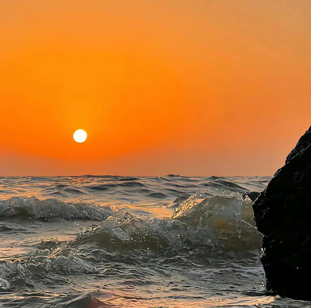 最终倦鸟归栖,你我亦有始有终._关系_爱我_影响