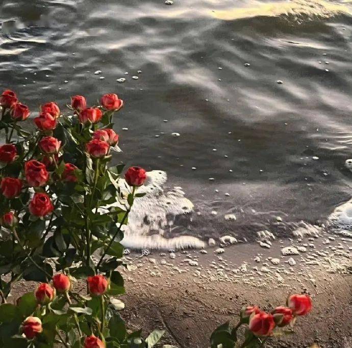 背景图 | 立刻保存朋友圈背景图