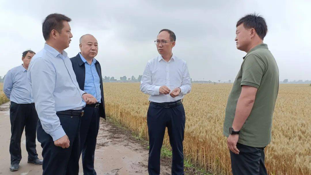 5月30日,新乡市政府副市长,卫辉市委书记崔红建调研我市防汛等工作.