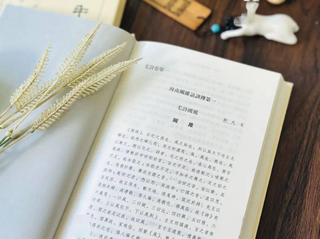 Amazon.co.jp: 0026369 毛詩鄭箋 全5冊(20巻)揃 鄭氏箋 風月荘