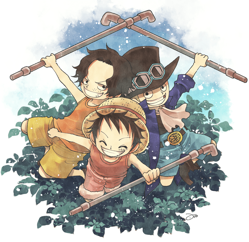 海贼王asl三小只插图_aco