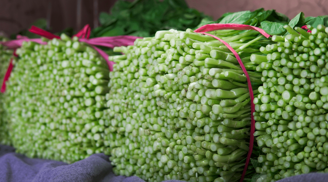 从"宁夏菜心"到"小青仔",这里的冷凉蔬菜不一般_口感_市场_全国