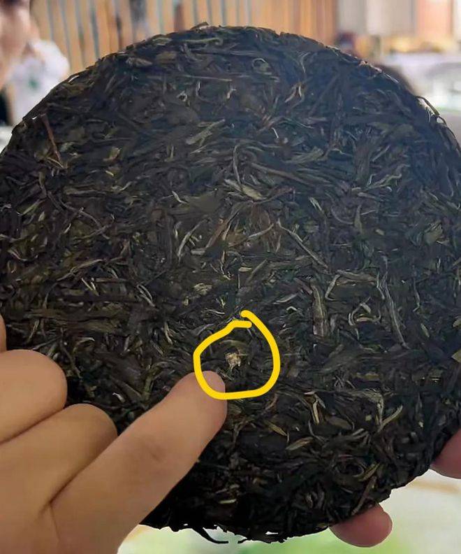 李亚鹏:拿自己研发普洱茶参赛,发现茶里有虫壳,专家严厉给0分_权威